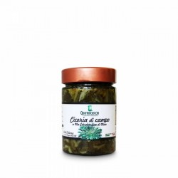 Cicoria di Campo - Quattrociocchi - 320g