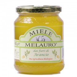 Miele di Arancio Biologico - Melauro - 500g