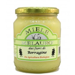 Miele di Borragine Biologico - Melauro - 500g